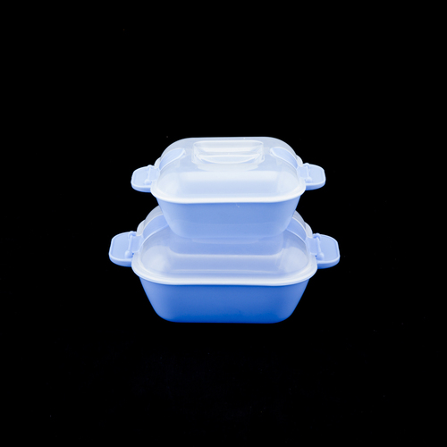 Microwavable Container Set Of 2 (500 ml + 1000 ml)