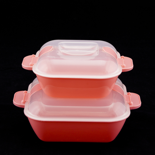 Microwavable Container Set Of 2 (1000 ml + 1500 ml)