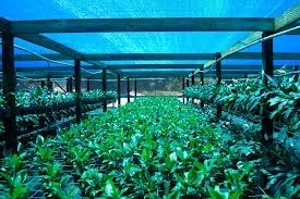 Nursery Farm Shade Net