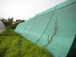 Green Shade Nets