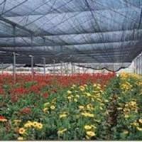 Flower Nursery Shade Net
