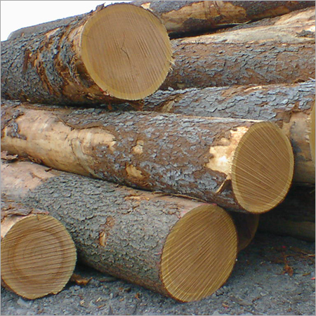 Padouk Wood Logs