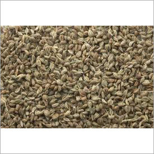 Thymol Seeds