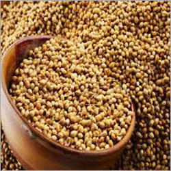 Coriander Seeds