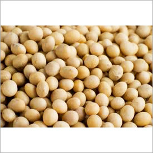 Agro Soybean Seeds