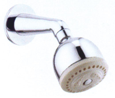 vento shower with arm