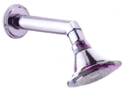 alto shower with arm