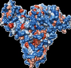 human-albumin