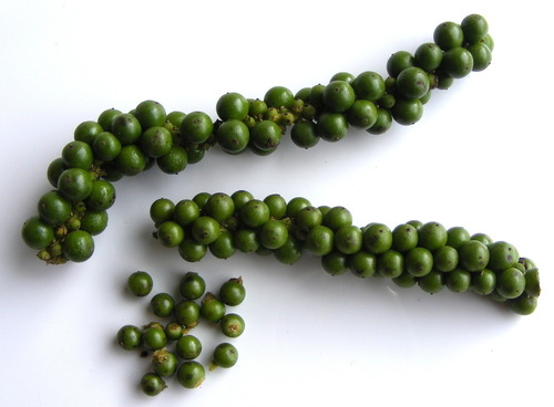 Green Pepper