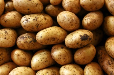 Preserved Potato