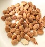 Chirongi Nuts