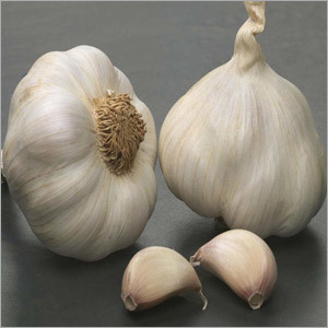 Organic Garlic