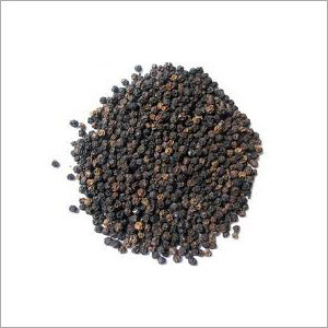 Black Pepper