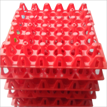 Egg Tray
