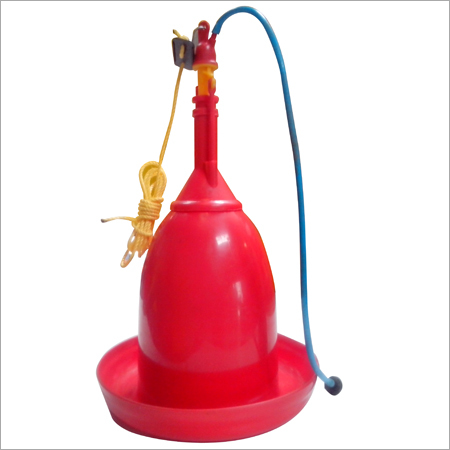 Chicken Jumbo Drinker