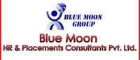 Hr & Placement Consultants