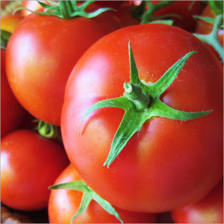 Red Tomatoes