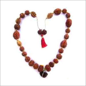 Rudraksha Sidhmala