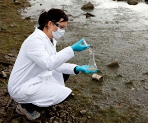 Water Quality Testing