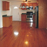 Anti Insect Coating