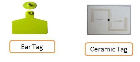 RFID Ear Tags