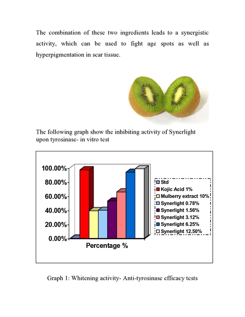 Synerlight- Whitening Active (Page 2)
