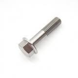 Flange Bolt