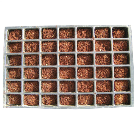 Flower Seedling Trays