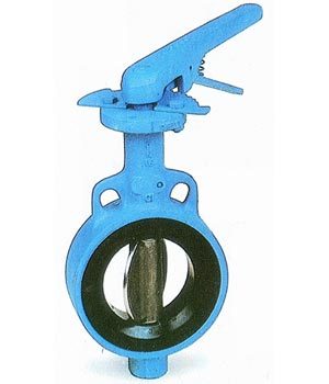 Butterfly Valve