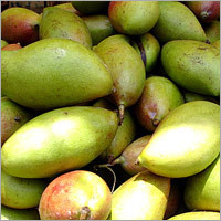 Totapuri Mango
