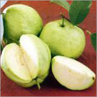 Fresh Guava