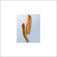 Cedarwood (Cedrus Deodara)