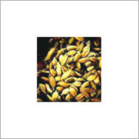 Cardamom (Elettaria Cardamomum)