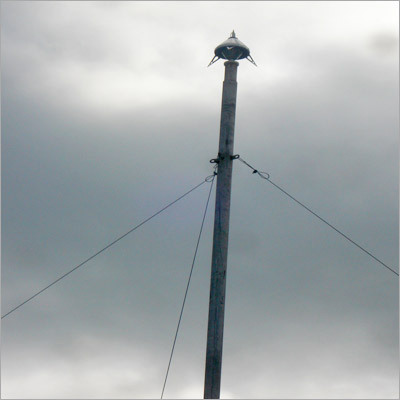 Lighting Arrestor