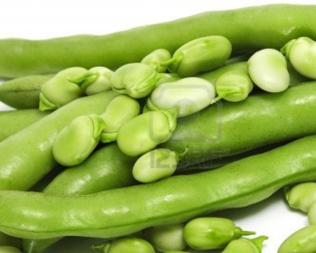 Broad Beans