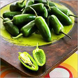 Jalapeno Pepper