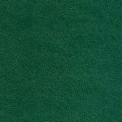 Green PVC Coated Paper