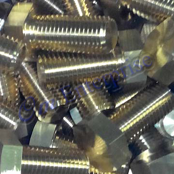 Brass Bolts