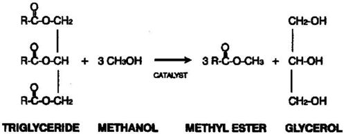 Soya Oil Methyl Ester