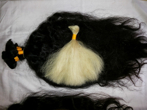 Color Human Hair