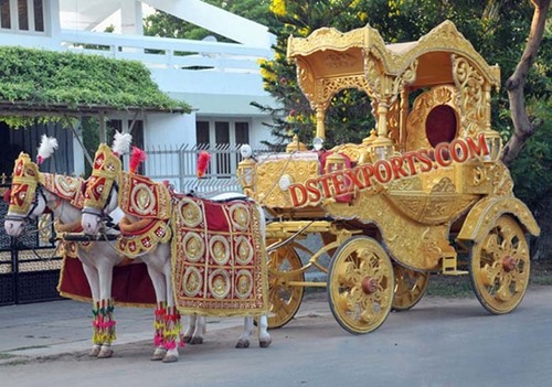 Royal Wedding Gold Horse Baghi