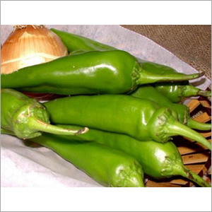 Fresh Green Chilli Sauce