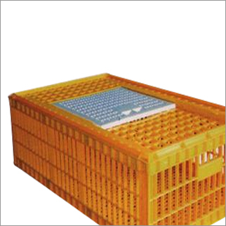 Bird Transportation Cage