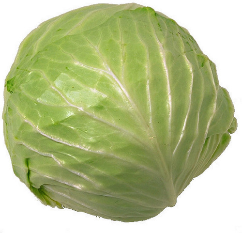 Green Cabbage