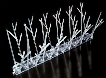 Polycarbonate Bird Spike