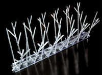 Polycarbonate Bird Spike