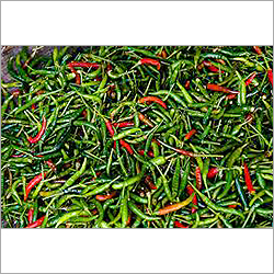 Fresh Red Chillies