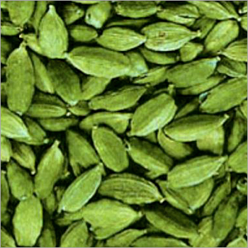 Small Cardamom