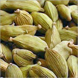 Fresh Cardamom