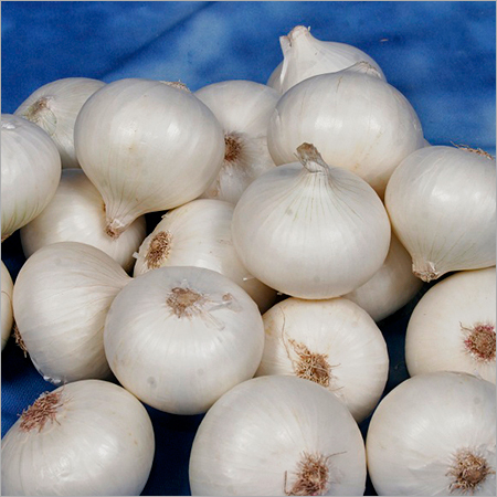 Fresh White Onion